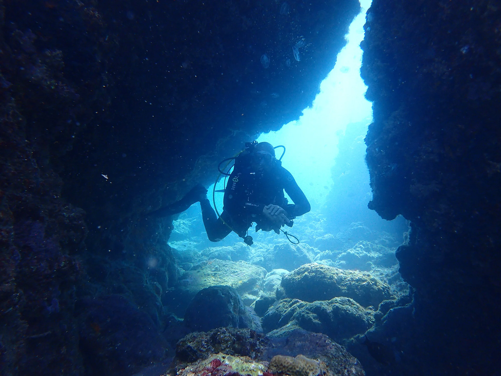 Swim-thru-at-Rock-Island